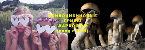 мяу мяу мука Семикаракорск