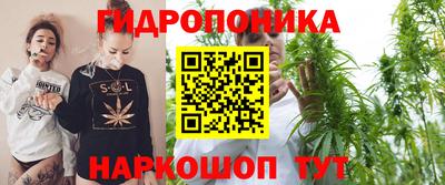 гашик Белореченск