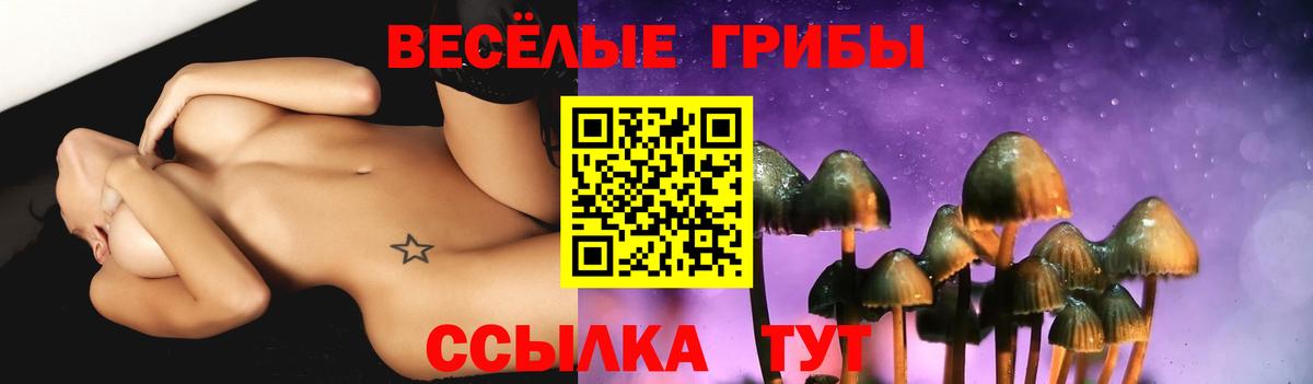 Аргун  Галлюциногенные грибы мицелий  Вход с VPN 